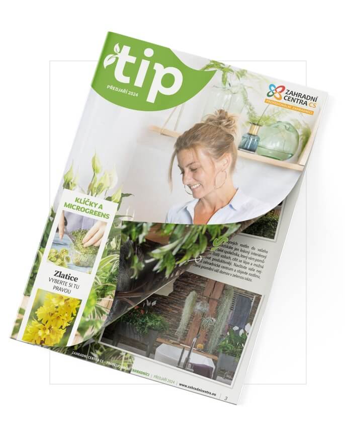 TIP Předjaří 2026